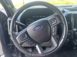 
										Used 2019 FORD F-150 XL Truck, BLUE 3.5L Gas RWD full									