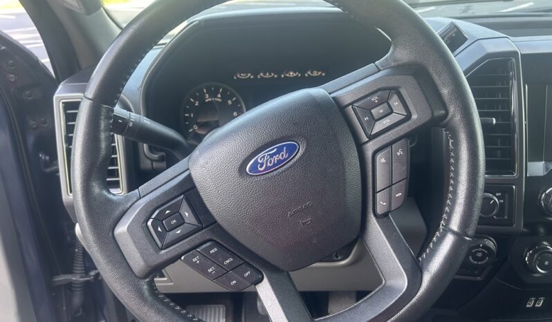 
								Used 2019 FORD F-150 XL Truck, BLUE 3.5L Gas RWD full									