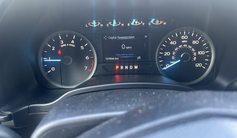 
								Used 2019 FORD F-150 XL Truck, BLUE 3.5L Gas RWD full									