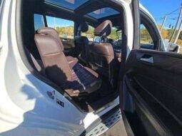 
										MERCEDES-BENZ GLS GLS 450 full									