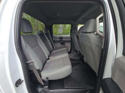 
										Used 2020 FORD F-150 XL Truck, WHITE 5.0L Flex 4WD full									