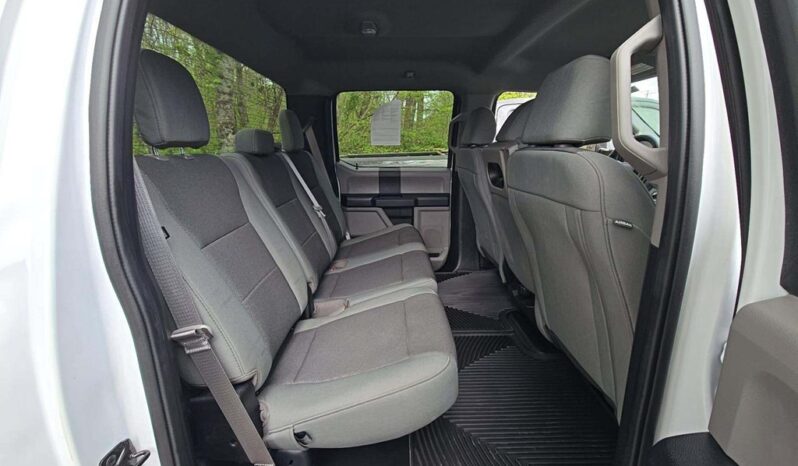 
								Used 2020 FORD F-150 XL Truck, WHITE 5.0L Flex 4WD full									