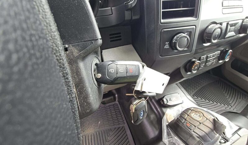 
								Used 2020 FORD F-150 XL Truck, WHITE 5.0L Flex 4WD full									